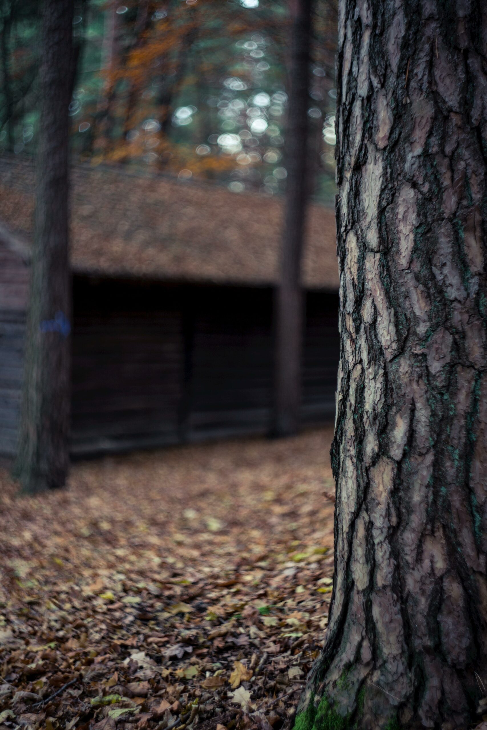 natur stressabbau Outdoor-Aktivitäten für den Stressabbau